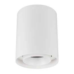 Фото #1 товара Светильник SP-FOCUS-R132-24W Warm3000 (WH, 50 deg, 230V) (Arlight, IP54 Металл, 5 лет)