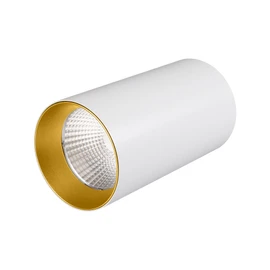 Фото #1 товара Светильник накладной SP-POLO-R85-1-15W Day White 40deg (White, Gold Ring) (Arlight, IP20 Металл, 3 года)
