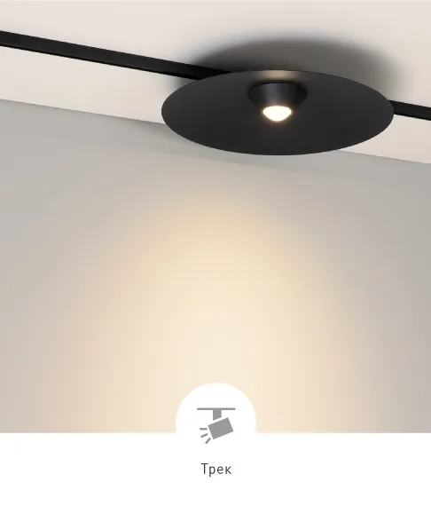 Фото #2 товара DISCO