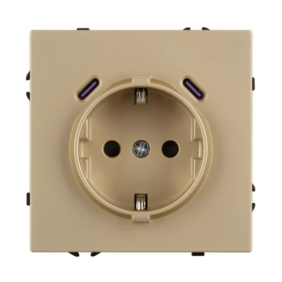 Фото #2 товара Механизм розетки с USB зарядкой SCT-NOBE-MUCC-SFPL-GD (230V, 16A) (Arlight, -)