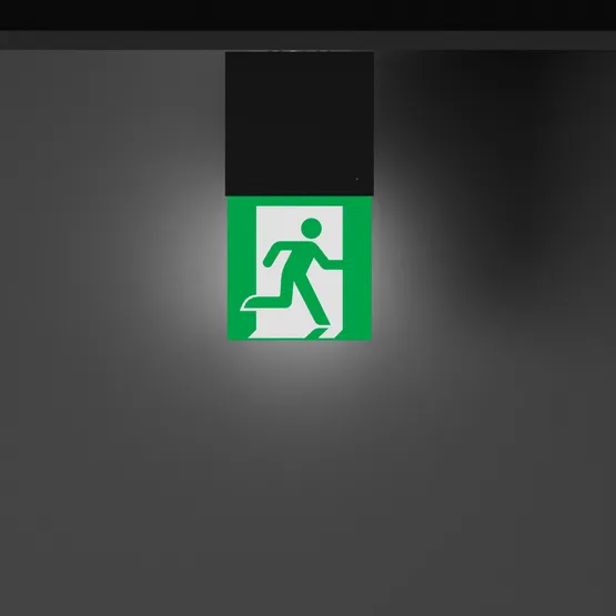 Фото #2 товара Световой указатель EMG-MARK-M-3H-BK (Arlight, IP40 Металл, 5 лет)