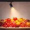 Минифото #2 товара Светильник LGD-GERA-4TR-R74-20W Warm SP3000-Fruit (Белый, 24 deg, 230V) (Arlight, IP20 Металл, 5 лет)