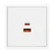Минифото #3 товара Механизм розетки с быстрой USB зарядкой SCT-NOBE-MUAC-SFPL-FC-WH (65W, QC3) (Arlight, Белый кварц)