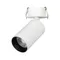 Минифото #1 товара Светильник SP-GABI-BUILT-FLAP-R50-9W Day4000 (WH, 60 deg, 230V) (Arlight, IP40 Металл, 5 лет)